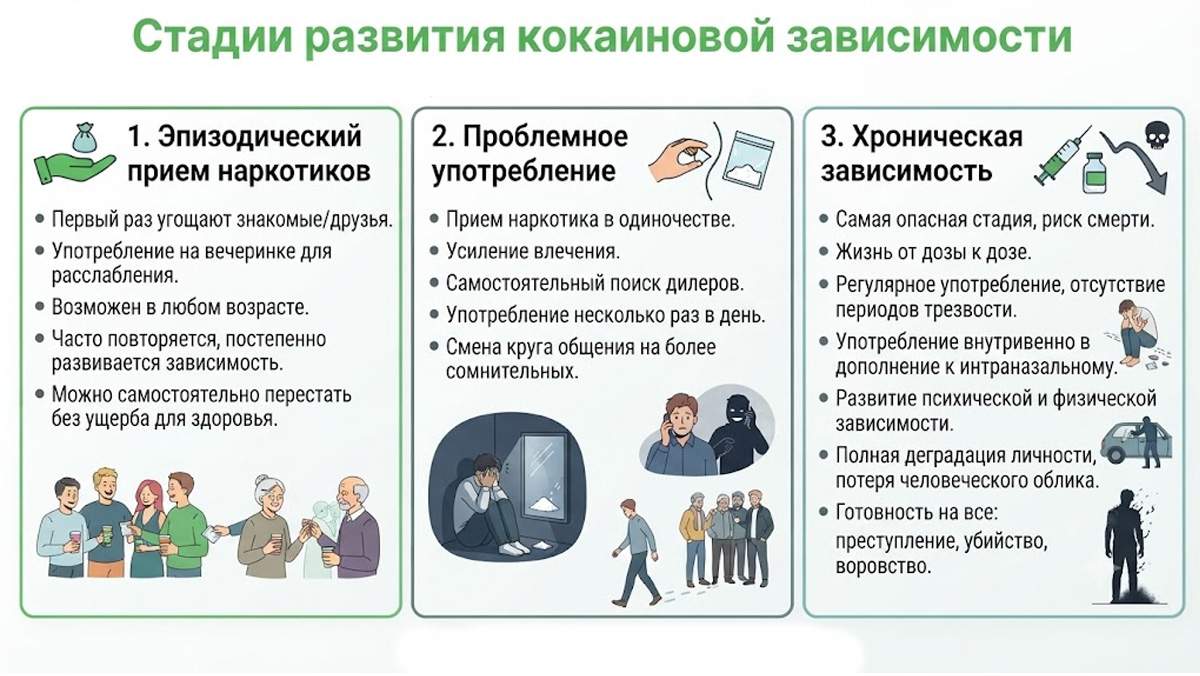 Инфографика: Три стадии развития кокаиновой зависимости.